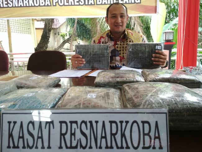 Polresta Barelang Ringkus Penyelundup 26,2 Kg Ganja Kering