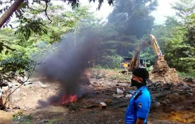 Tim Terpadu Bakar dan Kubur Ratusan Ekor Babi Hasil Buruan