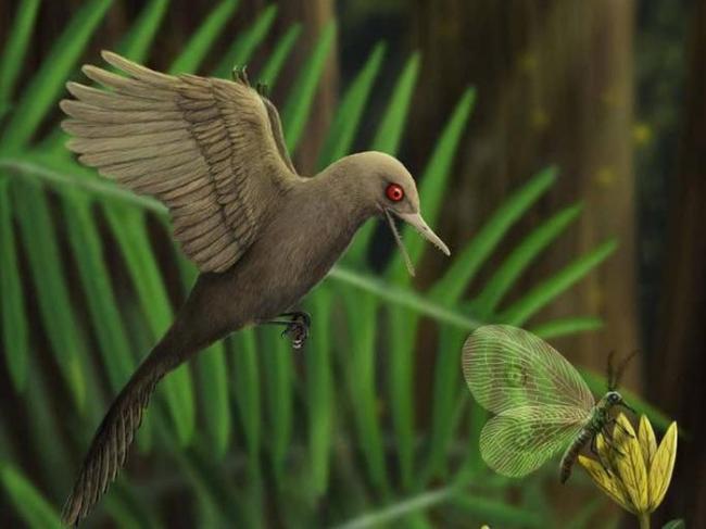 Fosil Dinosaurus Terkecil di Dunia Ditemukan di Myanmar