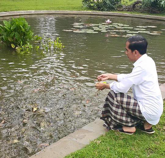 Ke Palembang, Jokowi Tinjau Proyek LRT