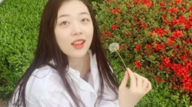 Artis K-Pop Sulli Bunuh Diri, Polisi: Dia Depresi Berat