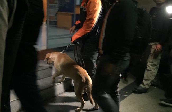 Anjing Pelacak Cari Sabu-sabu Berton-ton di Dalam Kapal, Baru Temukan Ikan Umpan Beku