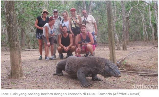 Polemik Turis Bayar USD 500 Buat Lihat Komodo