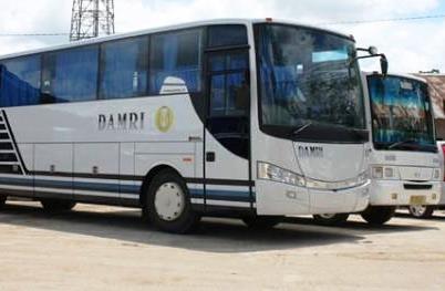 Tarif Bus Damri di Bintan Lebih Murah dari Tarif Mobil Rental