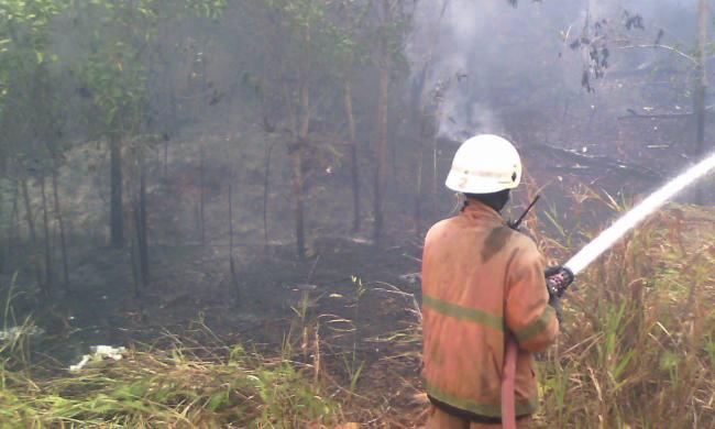 Polisi Curigai Aktivitas Tak Lazim di Balik Kebakaran Lahan di Tanjungpinang
