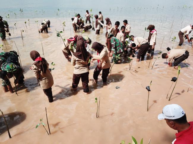 Pemecahan Rekor Muri Tanam Mangrove oleh Lantamal IV Tanjungpinang