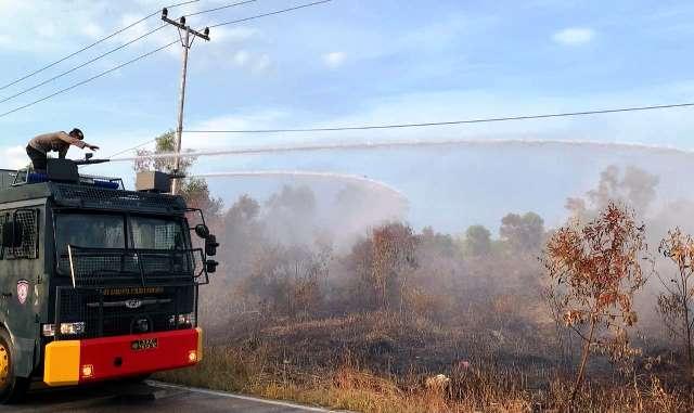 Red Eagle Fire, Nama Keren Tim Pembasmi Karhutla Bentukan Polres Karimun