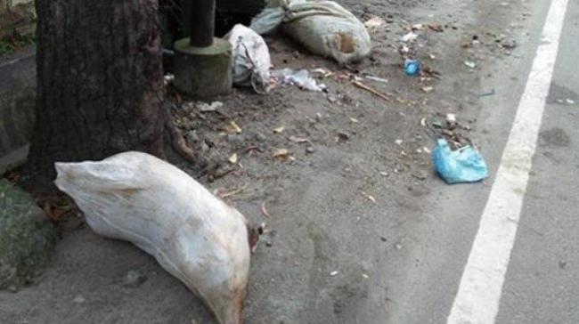 Warga Medan Mulai Diteror Bangkai Babi yang Dibuang di Pinggir Jalan