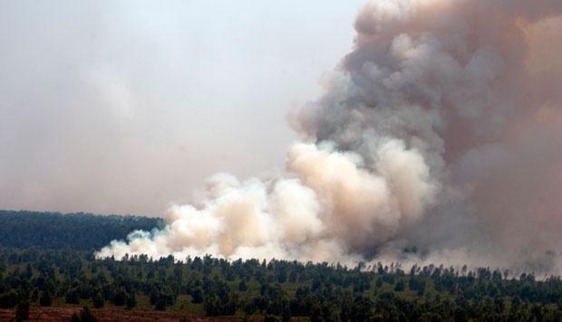 Kebakaran Hutan Makin Meluas, Riau Tidak Terlihat di Udara