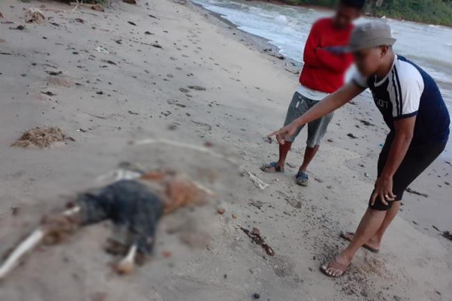 Polres Lingga Datangkan Tim DVI Polda Kepri Indentifikasi Mayat Terdampar di Pantai Nusantara