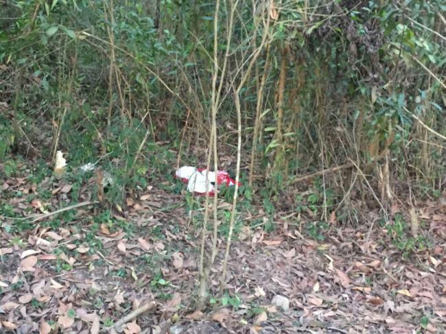 Mayat Janin Ditemukan di Pinggir Jalan Sei Temiang