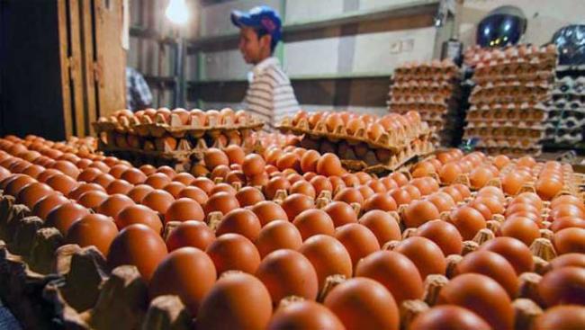 Saking Naiknya Harga Telur, Warga di Ngawi Rela Beli Telur Pecah