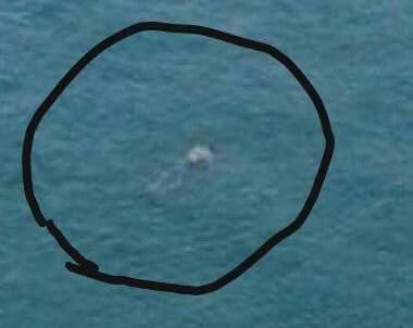 Penampakan Mayat di Jembatan I Barelang Tertangkap Kamera
