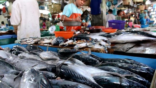 Pasokan Ikan Segar di Tanjungpinang Menipis