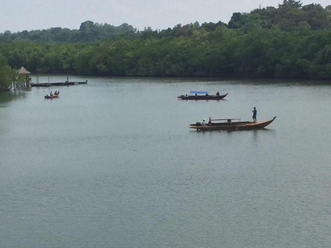Warga Bercerita Buaya di Bawah Jembatan Nongsa Pura Tempat Bambang Hilang