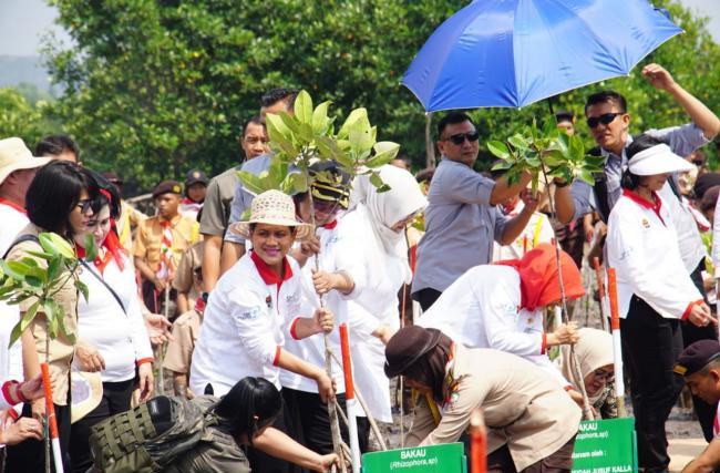 KPHL Hentikan Paksa Aktivitas Penimbunan Hutan Mangrove di Tanjung Piayu Batam
