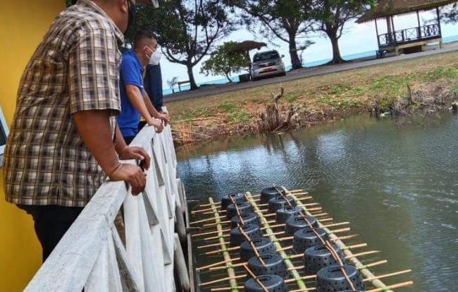 Lingga Punya Potensi Kembangkan Budidaya Kepiting Bakau-Udang Vaname