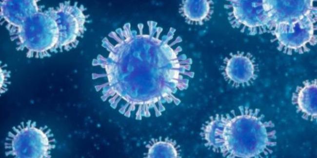 Virus Corona Telah  Menyebar ke-26 Negara, Indonesia Waspada!