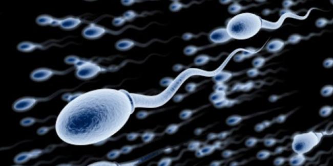 Virus Corona Terdeteksi Dalam Cairan Sperma Pasien Terinfeksi