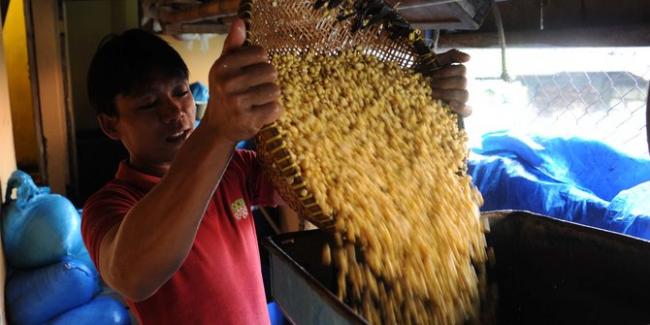 Kualitas Kedelai Impor Lebih Baik dari Produksi Petani Lokal