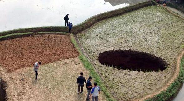 Lubang Misterius Muncul di Tengah Sawah Bikin Heboh