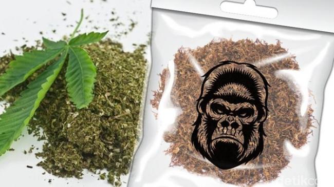 Pengedar Narkoba di Tanjungpinang Pesan Tembakau Gorilla di Online Shop