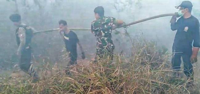 Lahan  di Bintan Terbakar Lagi