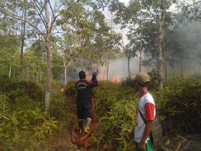 Lahan Seluas 10 Hektare di Toapaya Bintan Terbakar