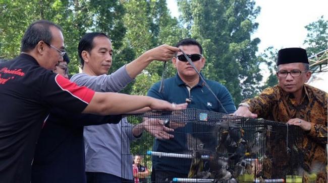  Heboh, Jokowi Ditolak saat Mau Beli Burung Senilai Rp 2 Miliar
