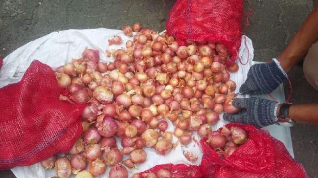 Misteri Bawang Merah Palsu di Indonesia, Adakah di Batam?