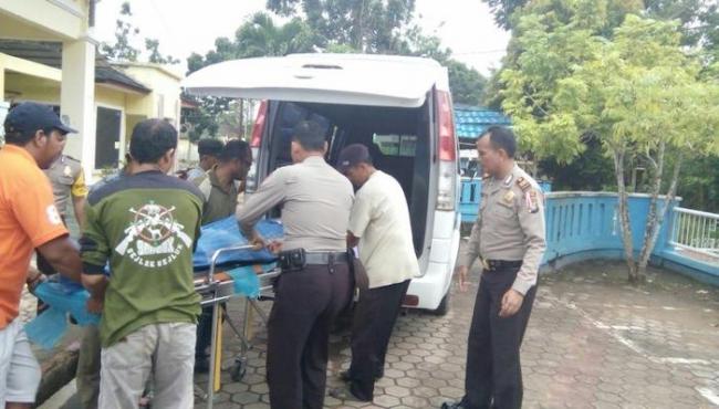 Suyanto Murni Tewas Tertimpa Pohon yang Ditebangnya
