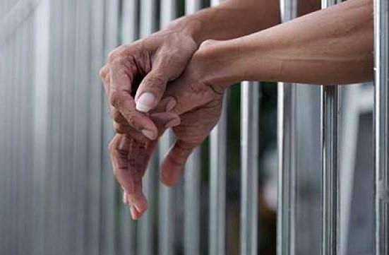 Bawa Ratusan Bibit Ganja, Seorang Pemuda Ditangkap di Perbatasan RI-Papua Nugini