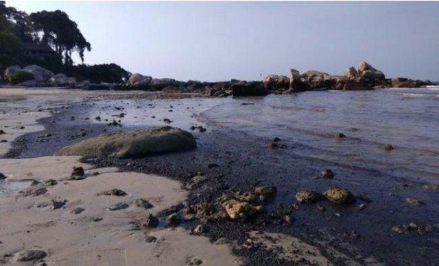 Pemkab Bintan Bawa Kasus Limbah Sludge Oil ke Kemenko Polhukam