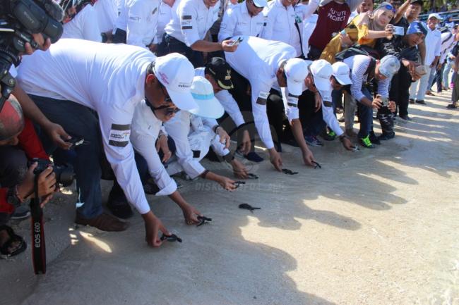 Diharapkan 20 Yacht Ramaikan Festival Pulau Senua