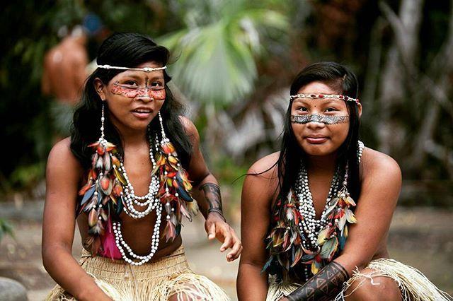 Hebat! Masyarakat Adat Amazon di Brasil Luncurkan Aplikasi Pendeteksi Corona
