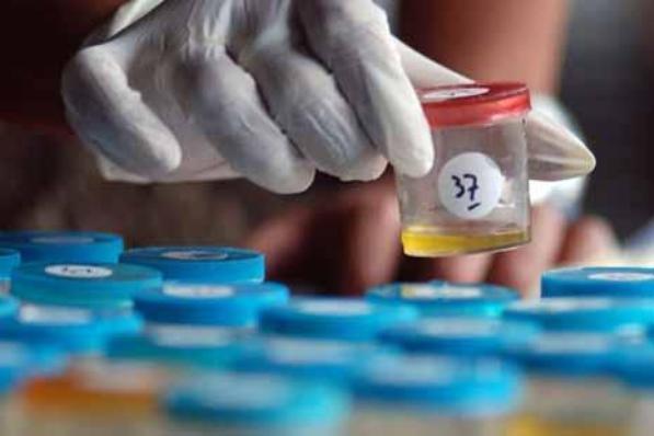 Para Penyelundup Rokok Tangkapan BC seperti Tak Takut Mati, Terbukti Usai Pesta Sabu 