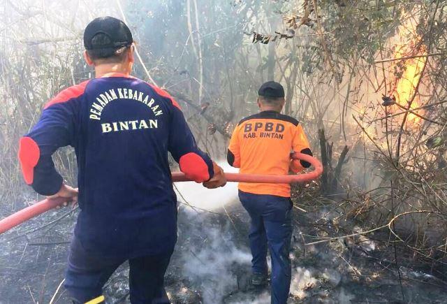 Dua Hektare Lahan di Jalur Lintas Barat Bintan Ludes Terbakar