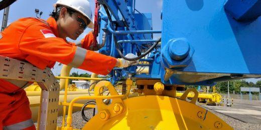 PGN Grup Rambah Kabupaten Karimun, Suplai Gas ke Karimun Power Plant