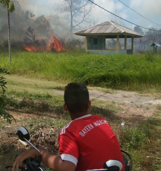 Gegara Bakar Sampah, 4 Hektare Lahan di Bintan Ikut Hangus
