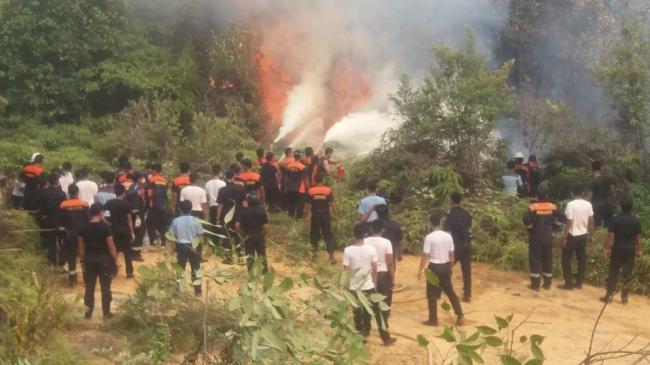 Kebakaran Hutan Pulau Merak Nyaris Sambar Bunker BBM Bea Cukai Kepri