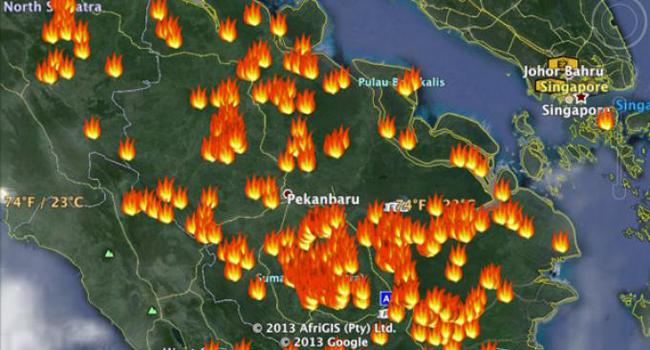 Pemprov Riau Tetapkan Status Darurat Kebakaran Hutan