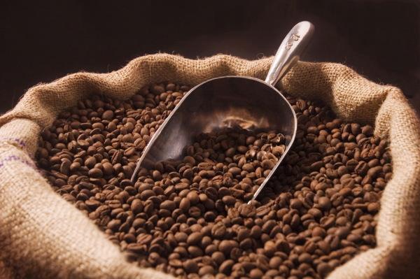 Gawat, Setengah Kopi Dunia Terancam Punah