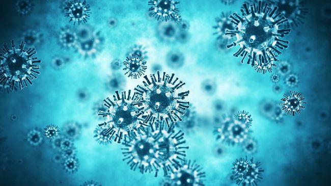 Virus Corona Bermutasi Lebih Lambat dari Flu Musiman