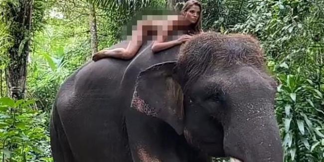 Pengakuan Model Rusia Berfoto Tanpa Busana di Atas Punggung Gajah di Bali
