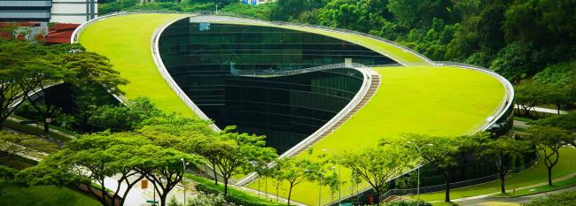 Universitas Singapura Peringkat 1 Terbaik di Asia, Bagaimana Indonesia?
