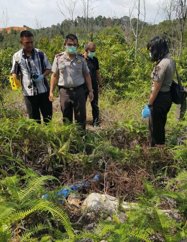 Kerangka Wanita di Kabil Diduga Korban Pembunuhan? Polisi Masih Tunggu Hasil Forensik