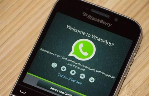 WhatsApp Tumbang 30 Menit, Warga Batam Teriak