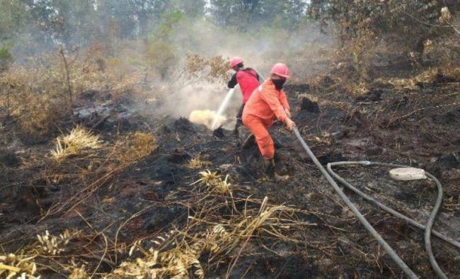 Titik Panas Muncul, Sejumlah Wilayah di Kepri Rawan Kebakaran