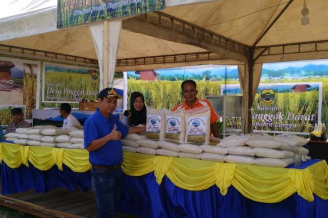 Desa Panggak Darat Buktikan Program Awe-Nizar di Sektor Pertanian Berhasil