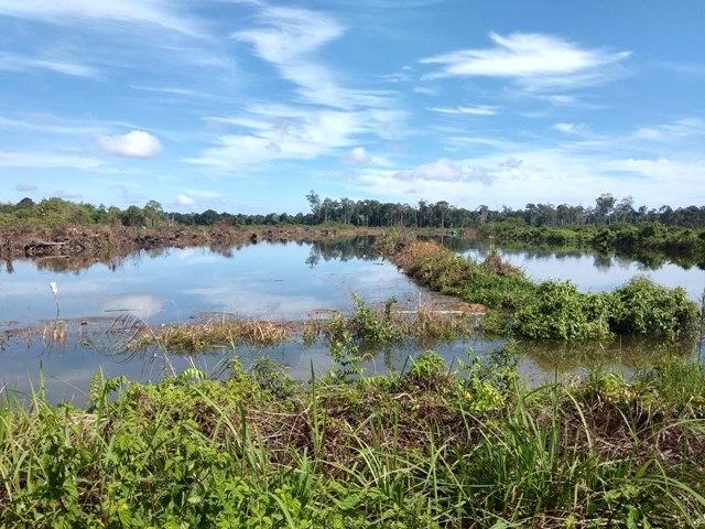 Bangun Irigasi Aliri Sawah Plus Cegah Banjir